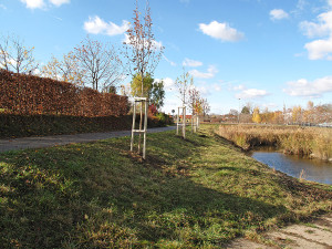 Realizace veřejné zeleně Hostivice-jih